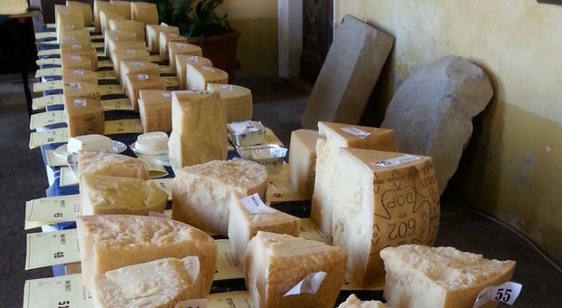 Caseus veneti, 385 formaggi in gara per la palma dei migliori