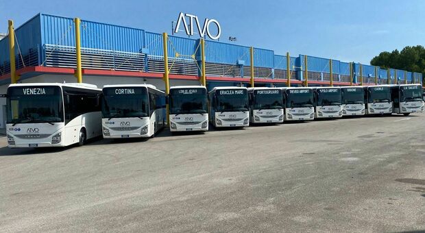 Una flotta di autobus di Atvo