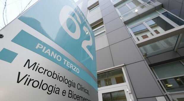 Vaiolo delle scimmie, isolato il virus al Sacco di Milano: ora sarà possibile verificare gli effetti del vaccino