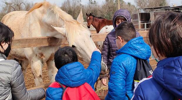"A cavallo dei sogni": l'ippoterapia a sostegno dei bambini con bisogni speciali
