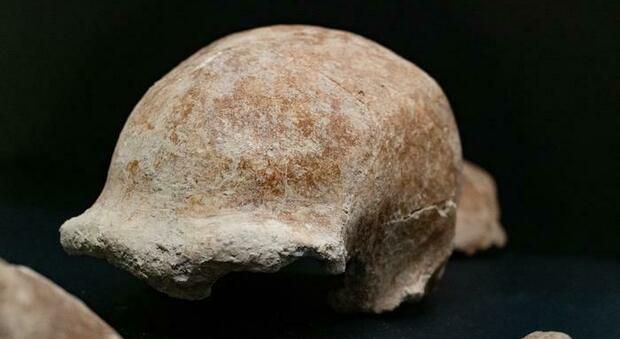 I resti di 9 uomini del Neanderthal trovati nella Grotta Guattari al Circeo