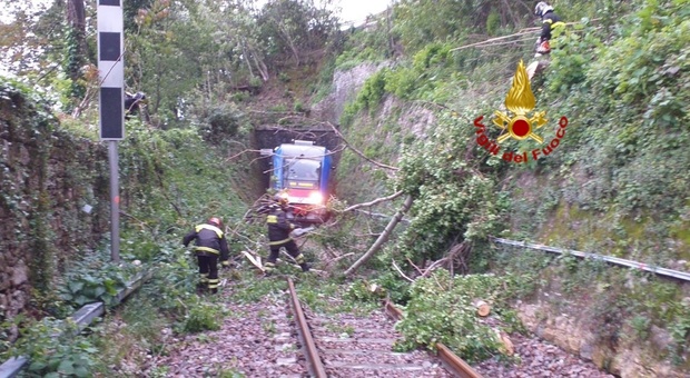 Albero cade sui binari: treno con 65 passeggeri a bordo resta bloccato