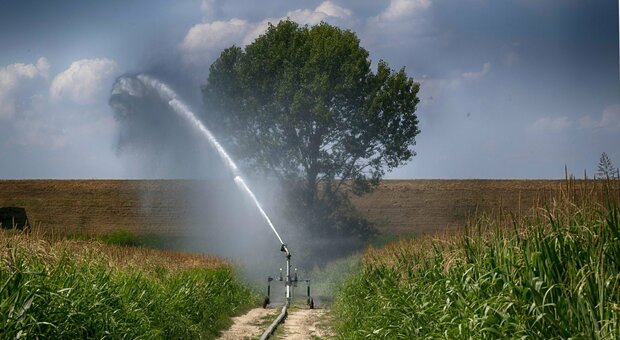 Irrigazione "vietata": Friuli Venezia Giulia diviso a metà