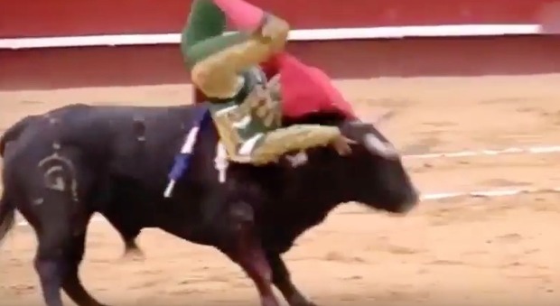 Spagna, paura alla corrida: il torero "pirata" viene incornato due volte e perde l'occhio di vetro