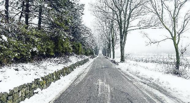 Prima neve: colli euganei imbiancati, strade insidiose a rischio incidenti