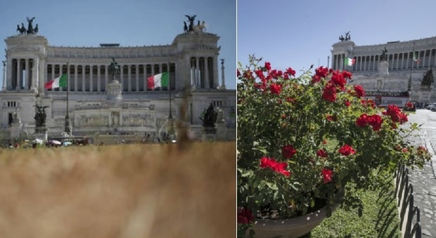Roma, a Piazza Venezia addio siccità: l'aiuola torna verde