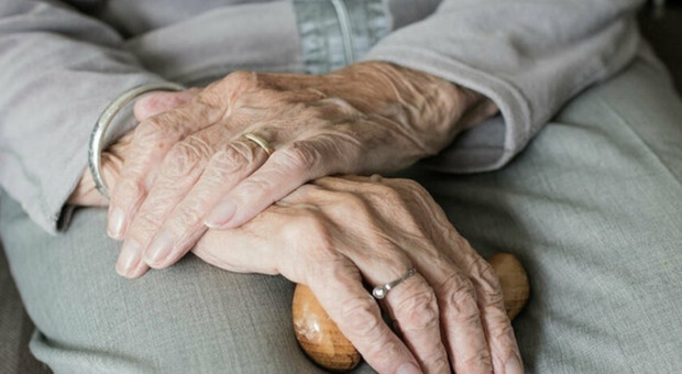 Giornata Internazionale dell'Anziano: il ruolo fondamentale dei nonni nel welfare familiare e sociale