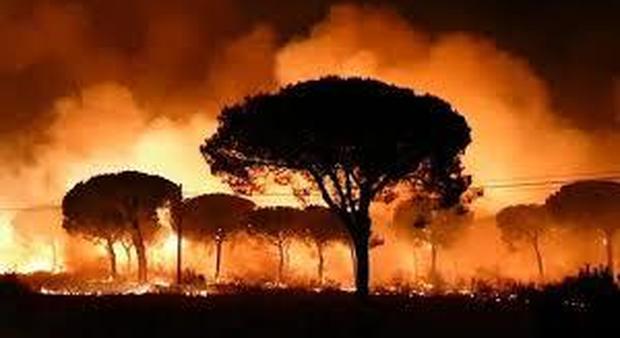 Le fiamme che lambiscono la riserva naturale di Doñana, in Andalusia