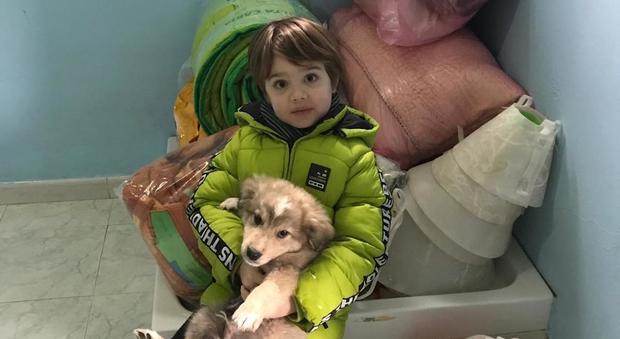 Il bimbo di sei anni regala le coperte per riscaldare i cani abbandonati