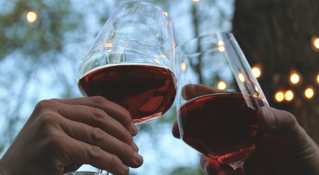 Vino rosso, 3 bicchieri (e mezzo) riducono del 4 per cento il rischio di mortalità: ecco i risultati dello studio