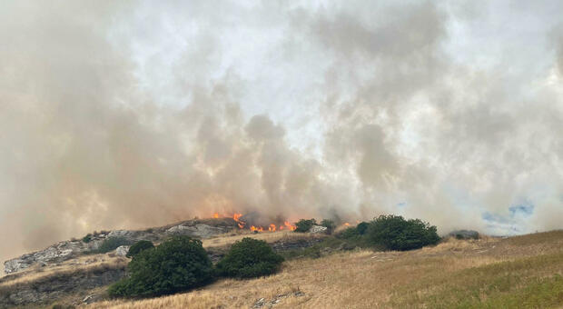Incendi Sardegna, Oristanese devastato: la Procura apre un'inchiesta