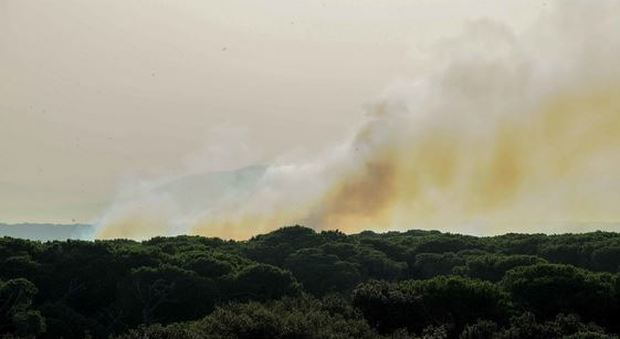 Roma, Castel Fusano brucia ancora: nuovo incendio in pineta