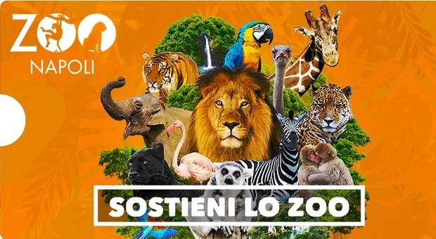 Lo Zoo di Napoli a porte chiuse racconta (sui social) i suoi primi sette anni e chiede aiuto per superare questo periodo di resistenza