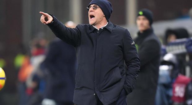 Genoa, Ballardini avverte: «Restiamo umili, il Bologna è ambizioso»