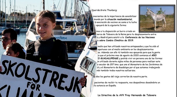 Greta Thunberg a Madrid, un'associazione le offre un mulo: «È il mezzo di trasporto più ecologico»