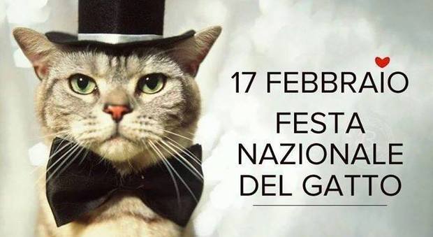 Festa nazionale del gatto, il felino che conquistò gli umani