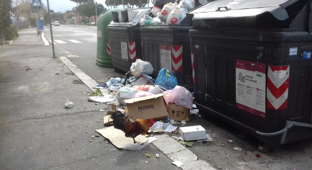 Roma, rifiuti: una caccia al tesoro per promuovere la differenziata