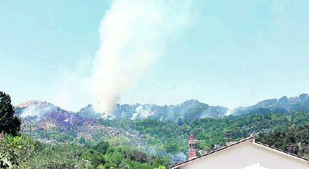 Incendi boschivi, a Pontecorvo in fumo 10 ettari di uliveti