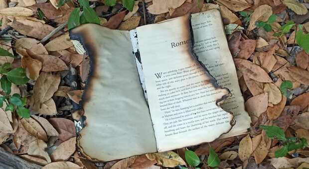 Maglie, libri rubati o bruciati nel parco: lo sdegno della città