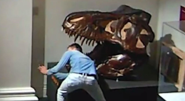 Entra illegalmente in un museo e si scatta un selfie con il teschio di dinosauro