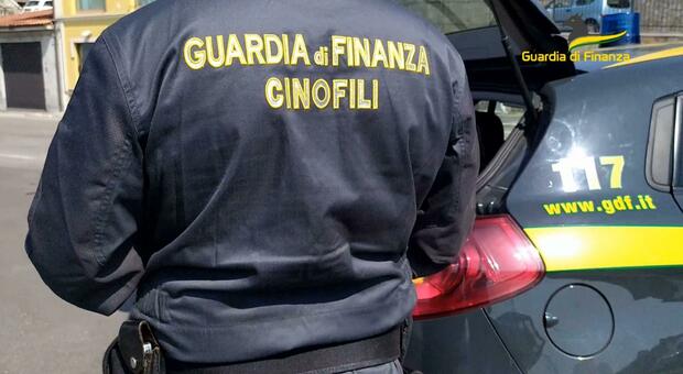 Blitz della Finanza contro la mafia foggiana: otto arresti e perquisizioni a Pescara