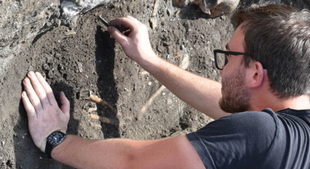 Dagli scavi della Aquileia romana emergono una tomba e nuove informazioni sul mercato imperiale