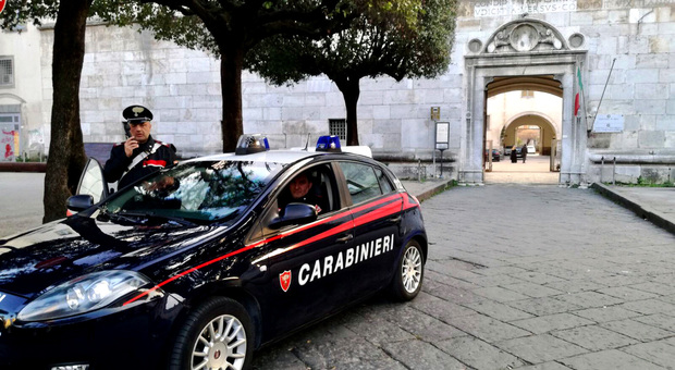 Maxi blitz dei carabinieri nel Nolano: raffica di denunce e sequestri