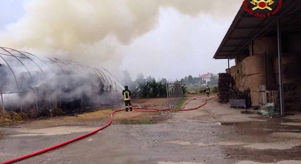 Incendio devasta un deposito di fieno: distrutte 500 rotoballe