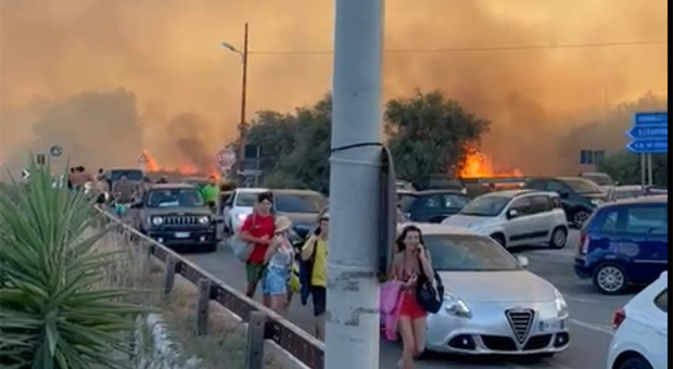 L’estate nera del Salento: più di 1.500 incendi al mese