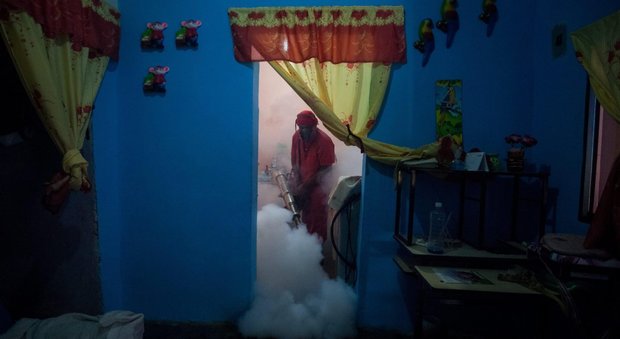 immagine Incubo Zika dal Messico al Venezuela