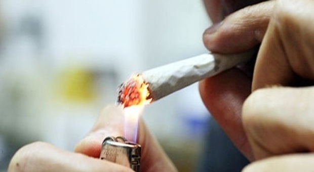 Montecarotto, marijuana in tasca: segnalato come consumatore a 61 anni