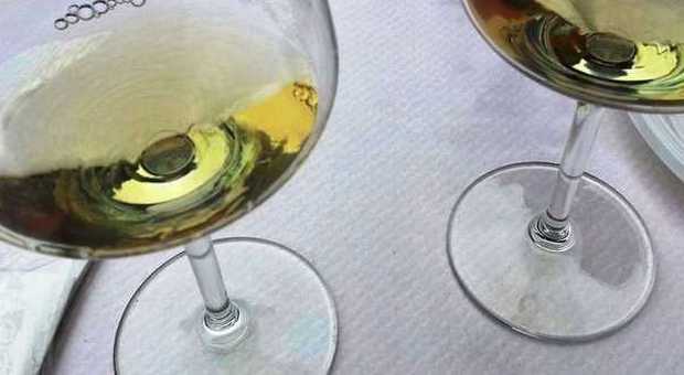 ​Esaltatore di aromi illegale nel vino sauvignon: 17 perquisizioni del Nas