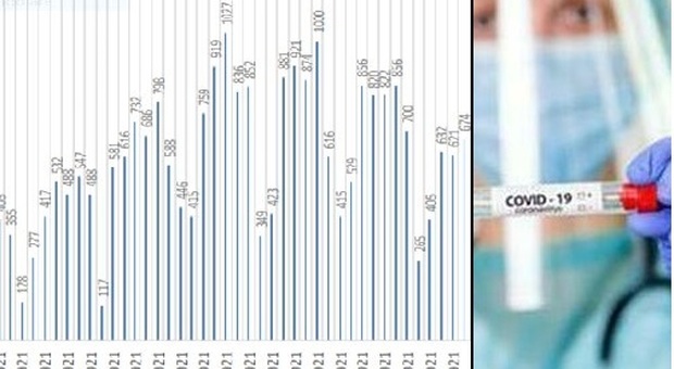 Coronavirus, Ancona e Pesaro spingono in alto i positivi: 674 casi in un giorno nelle Marche