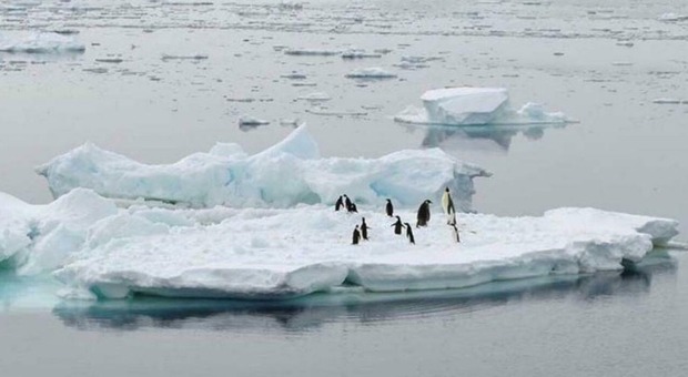 Le acque sempre più calde nell'Antartide fanno alzare quelle dell'oceano Atlantico del nord