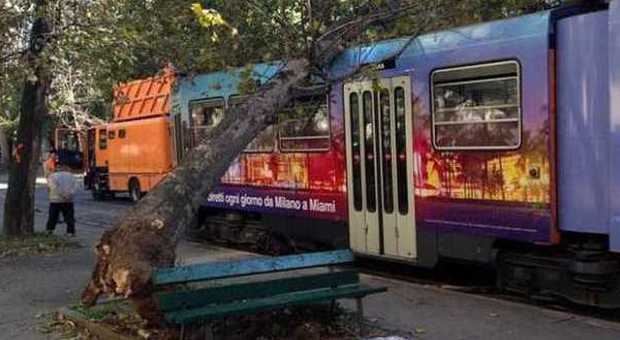 Milano, paura in viale Corsica: il forte vento fa crollare un albero sul tram alla fermata