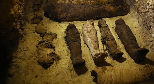 Egitto, scoperta una necropoli con 35 mummie, sarcofagi, anfore: risalgono a oltre duemila anni fa