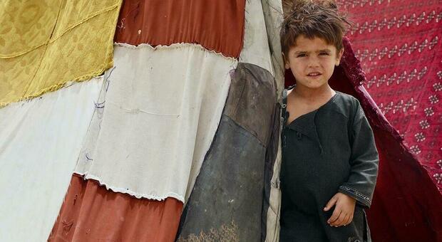 L'appello dell'UNHCR: «Aiutateci a non abbandonare il popolo afghano»