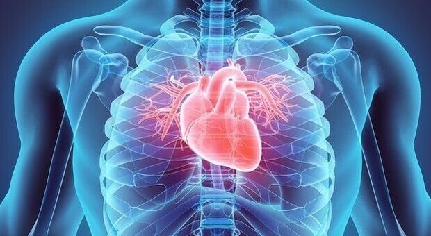 Il Covid è un "killer" multiorgano: il cuore diventa fragile, infarti e ictus più frequenti