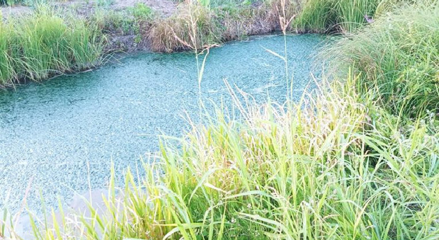 Il canale dove è stata trovata morta la bambina di 2 anni