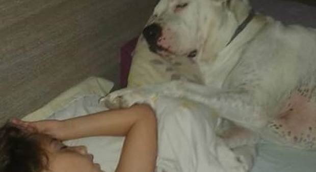 La piccola Eli dorme accanto alla sua amica Olivia