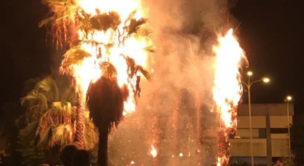 Ragazzi appiccano un incendio: palme a fuoco in centro, scatta l'allarme