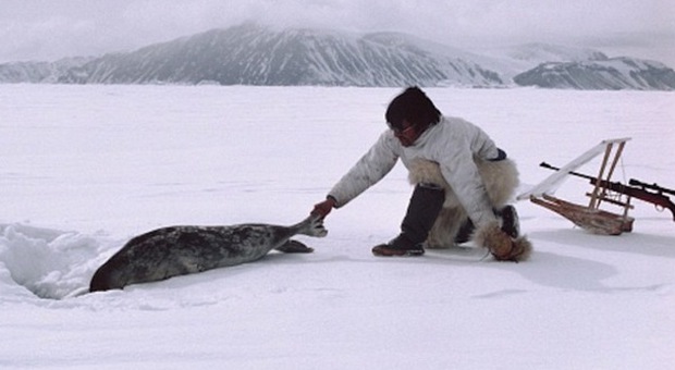 Inuit a caccia di foche: ora deroghe rigidissime (foto greenme.it)