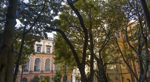 Il giardino dell'Accademia di Belle Arti di Napoli