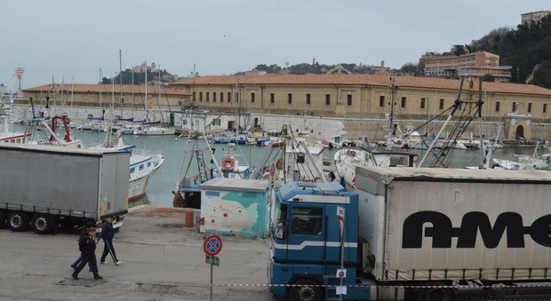 Ancona, venditori abusivi vedono i controlli e abbandonano il pesce