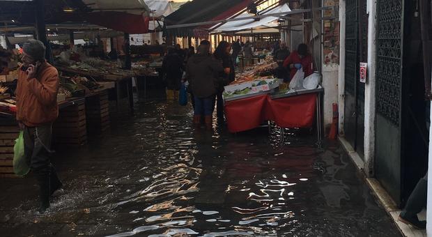 VENEZIA Il mercato di Rialto che continua a vendere il giorno della vigilia di Natale nonostante i disagi