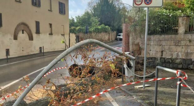Orvieto: alberi caduti per il vento, chiusi per precauzione gli accessi all’Anello della Rupe