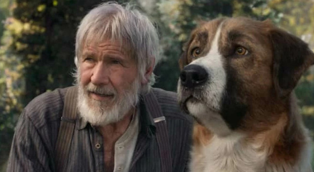 Il Richiamo della Foresta, stasera in tv il film con Harrison Ford: trama, cast e curiosità