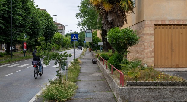 Caos case popolari a Treviso, le richieste