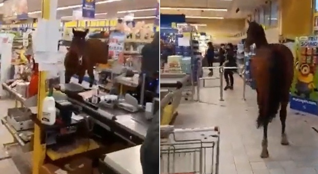 Cavallo entra nel supermercato, passeggia tra gli scaffali e se ne va: panico tra i clienti IL VIDEO