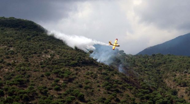 Frosinone, fiamme sui monti della Ciociaria: ettari in fumo